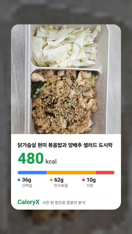 닭가슴살 현미 볶음밥과 양배추 샐러드 도시락 480kcal, 단백질 36g, 탄수화물 62g, 지방 10g 로 분석한 CaloryX 화면